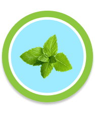 เฟรชมิ้น_icon7